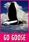 GoGoose